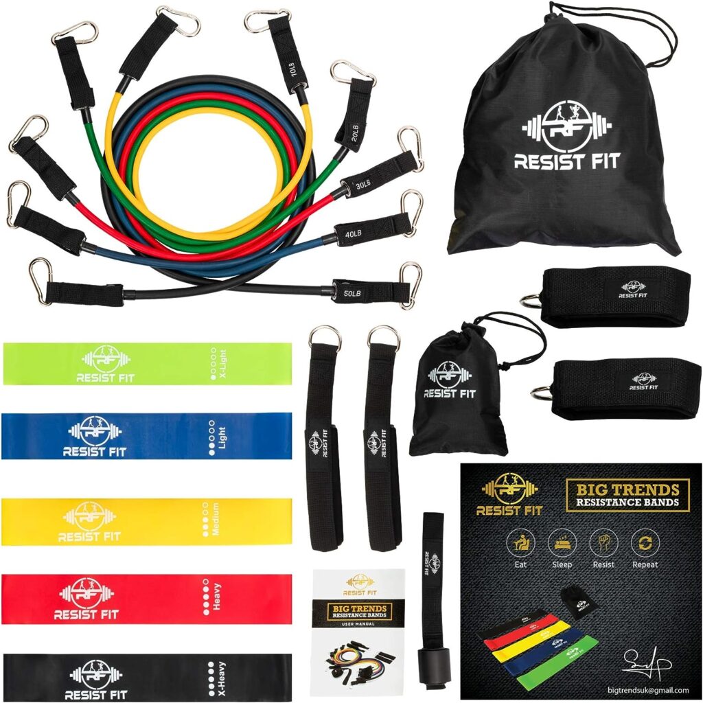 Resistance Bands Set By Resist Fit-10-Level Adjustable Home Gym Equipment - Fitness Gear for Therapy Support, Stretching, Training, Gymnastics, Sports - Portable Workout Equipment with Carry Bag