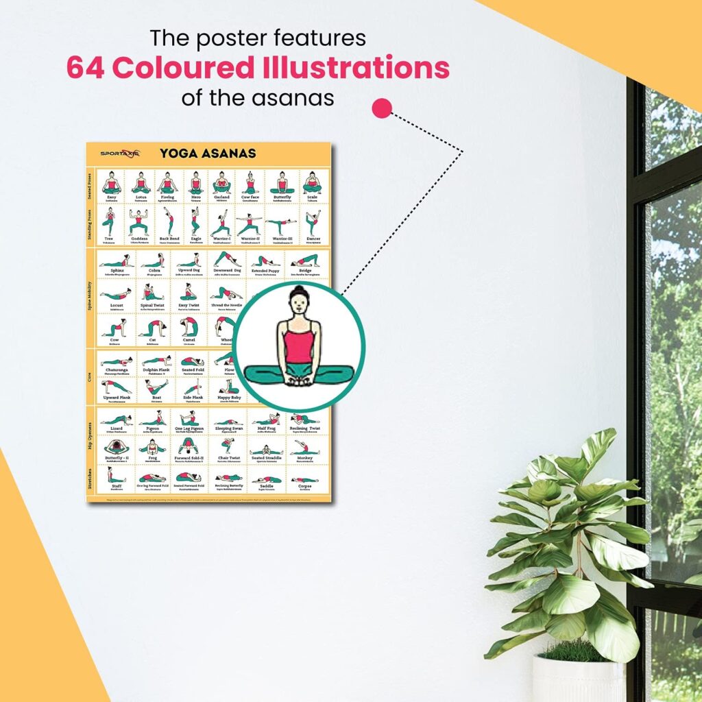 SPORTAXIS Yoga Poses Poster- 64 Yoga Asanas For Full Body Workout- Laminated Home Workout Poster With Colored Illustrations - English And Sanskrit Names