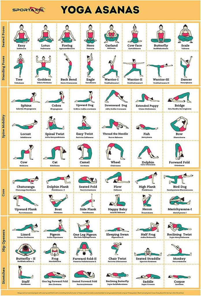 SPORTAXIS Yoga Poses Poster- 64 Yoga Asanas For Full Body Workout- Laminated Home Workout Poster With Colored Illustrations - English And Sanskrit Names