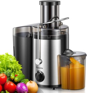 Reemix Centrifugal Juicer