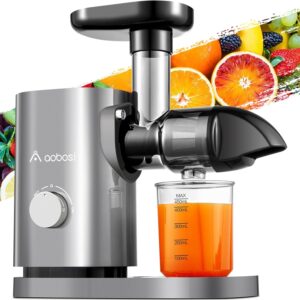 Slow Masticating Juicer